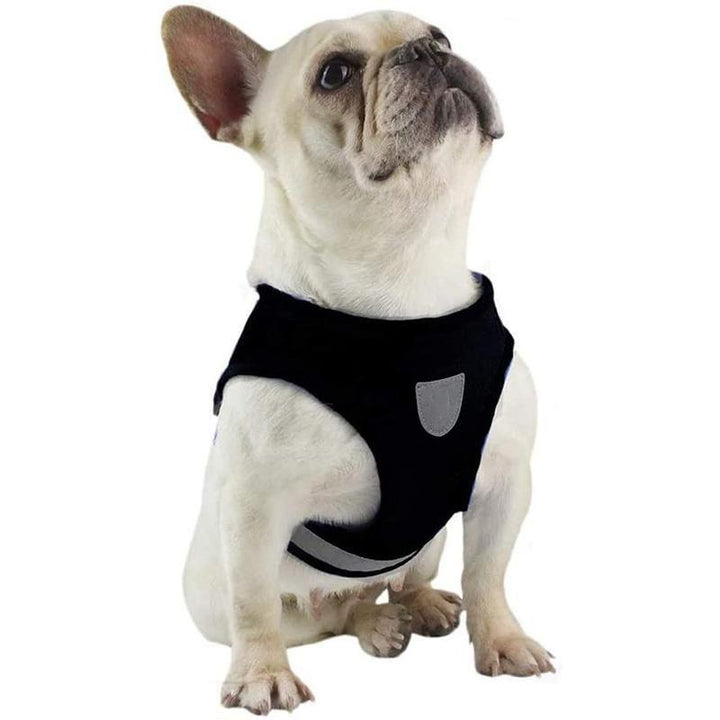 BowLift | Reflective Safety Dog Harness and Leash Set Offer