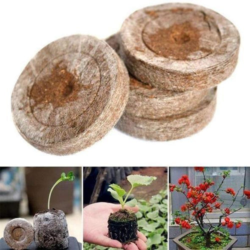 BowLift | Nursery Nutrition Block