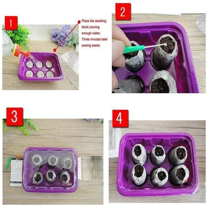 BowLift | Nursery Nutrition Block