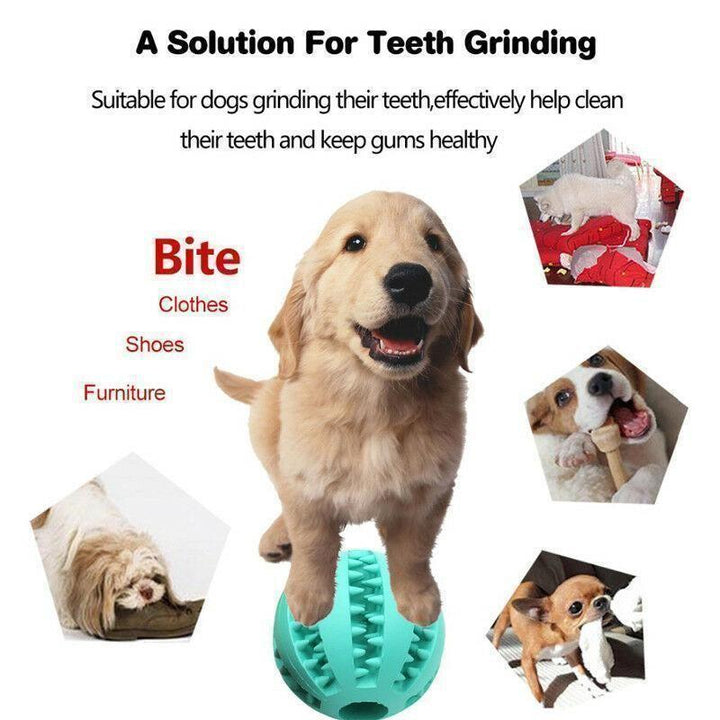 BowLift | Dog Chewing Rubber Ball