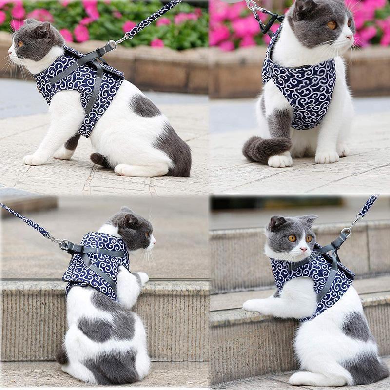 BowLift | Escape-Proof Adjustable Cat Walking Harness