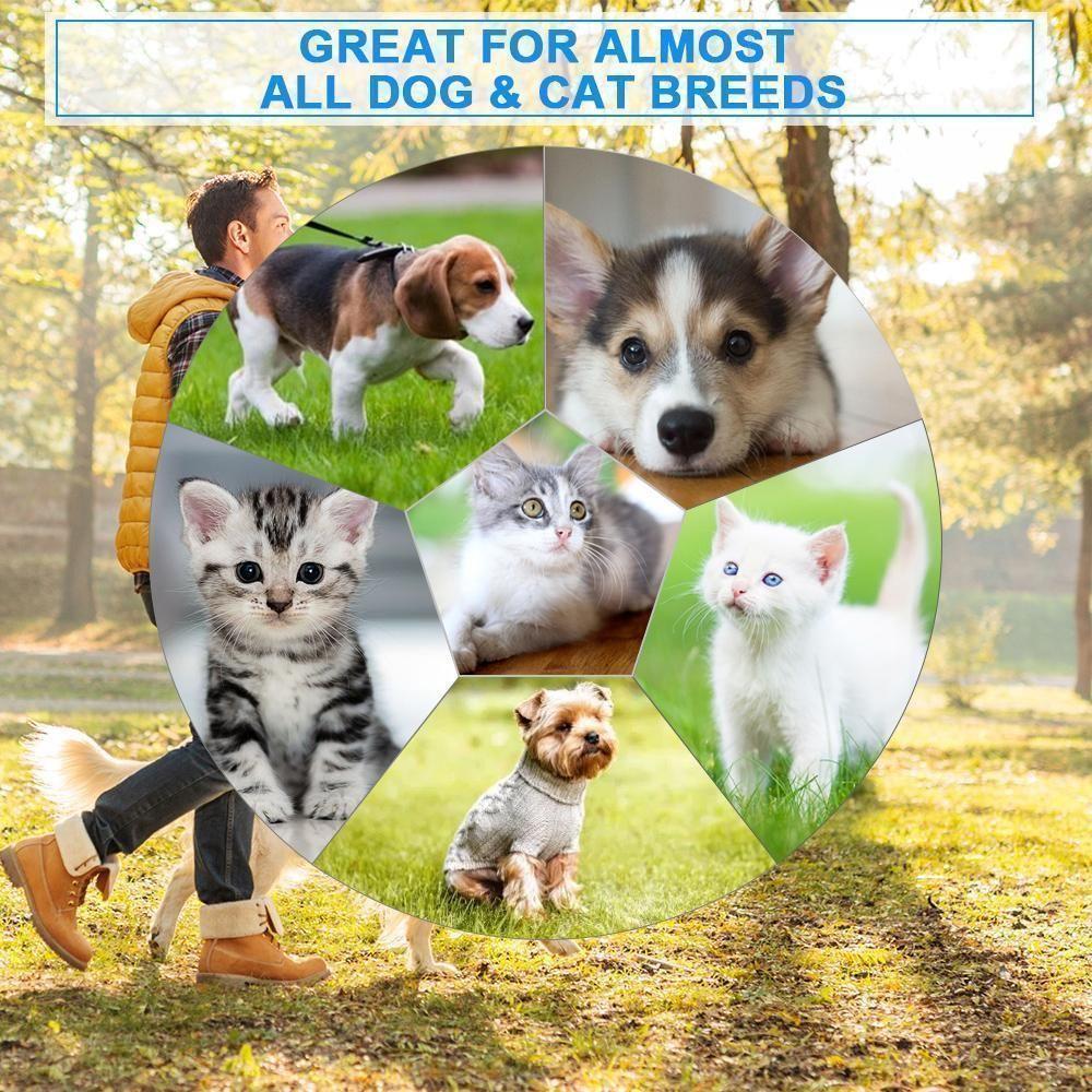 BowLift | Knot Out Electric Pet Grooming Comb