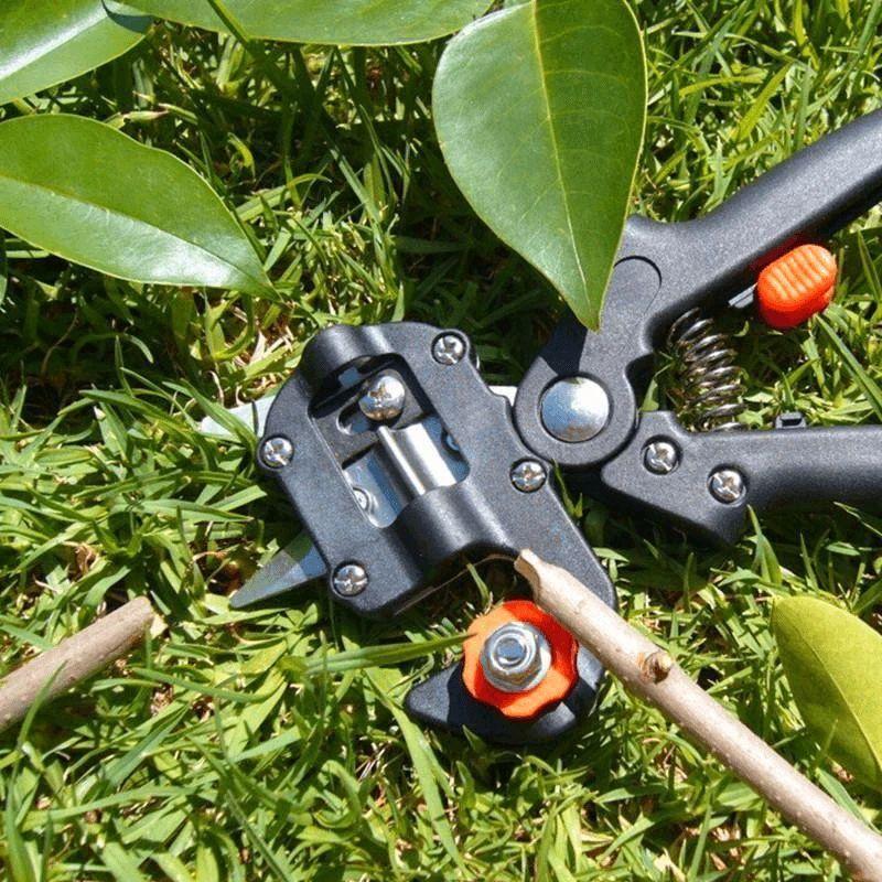 BowLift | Professional Garden Grafting Tool Kit
