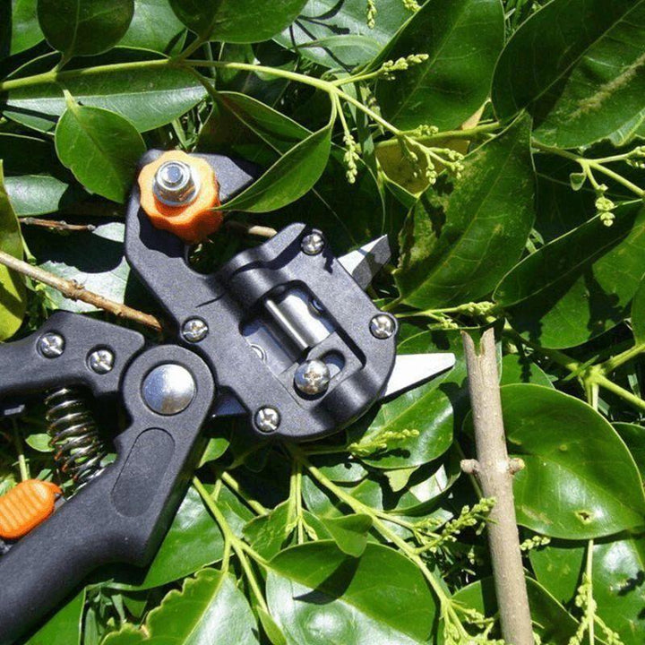 BowLift | Professional Garden Grafting Tool Kit