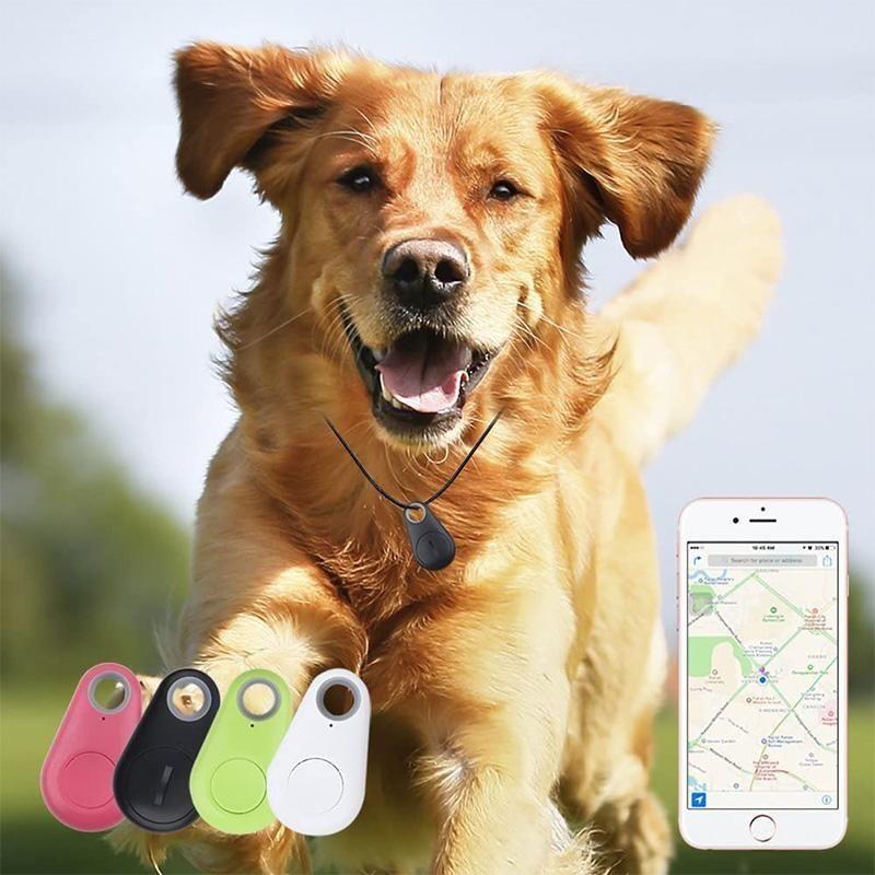 BowLift | Smart GPS tracker for pets