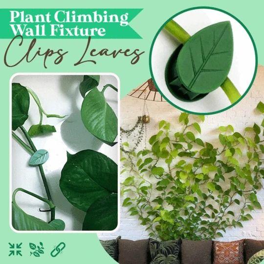 BowLift | Plant Climbing Wall Fixture Clips Leaves