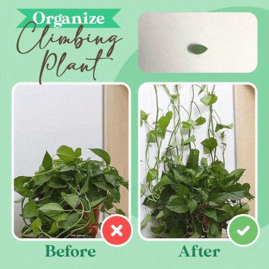 BowLift | Plant Climbing Wall Fixture Clips Leaves