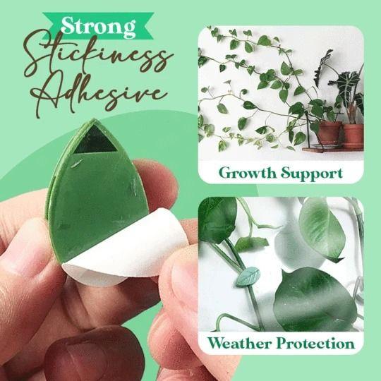 BowLift | Plant Climbing Wall Fixture Clips Leaves
