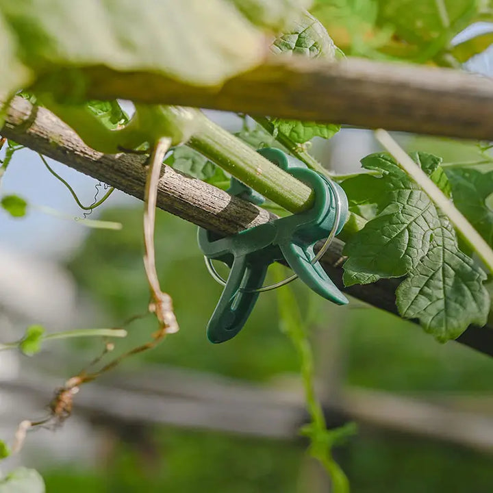 BowLift | Garden clip set – plant loops for plant supports and garden care