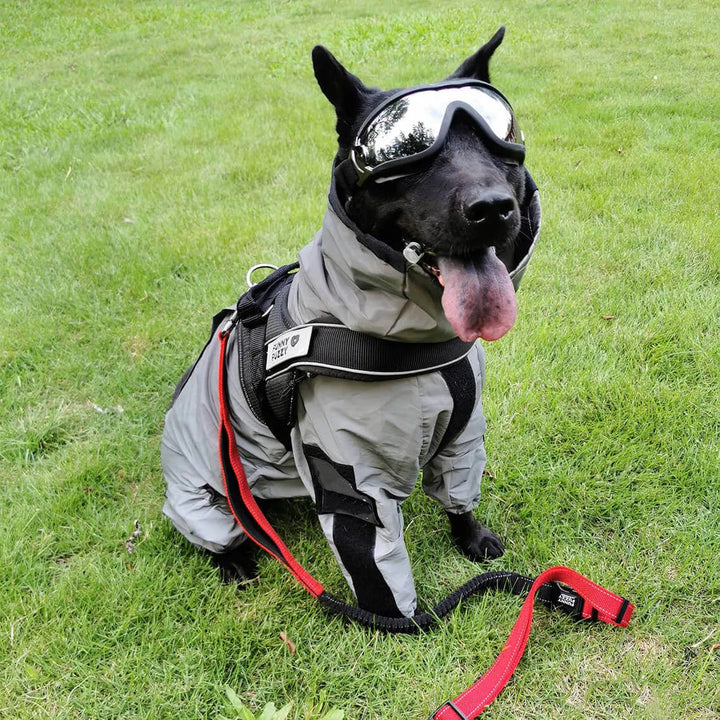 BowLift | Reflective All-weather Waterproof Dog Rain Coat