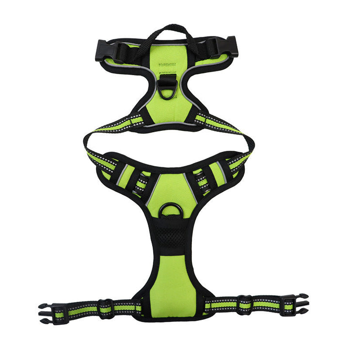3-in-1 Pet Walking Kit | Bowlift