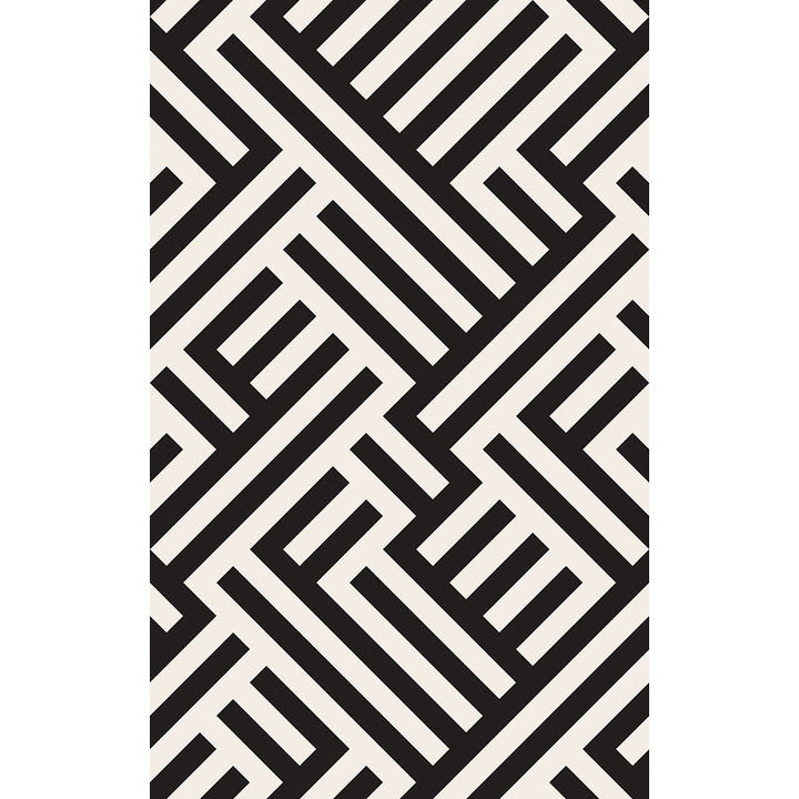 BowLift | Modern Striped Pattern Carpet Black and White Polyester Carpet Washable Pet Friendly Non-Slip Area Rug for Living Room