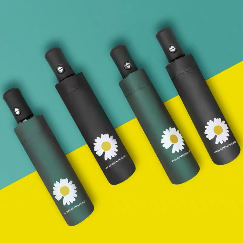 Women's Umbrella Bowlift