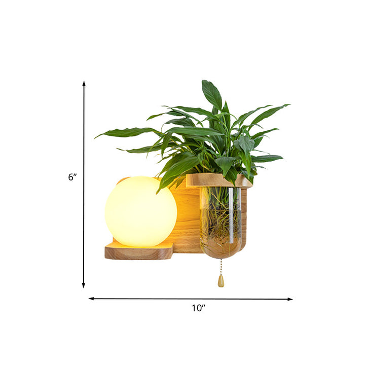 BowLift | Wood Globe/Cylinder Wall Sconce Nordic Cream Glass 1 Light Bedroom Wall Lamp with Plant Pot and Pull Chain