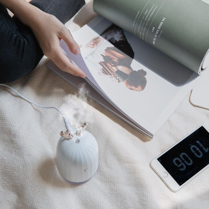 Aroma Essential Oil Diffuser | Bowlift