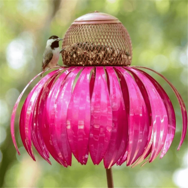 BowLift | FloraNest Bird Feeder | Enjoy free Coneflowers for a colorful garden