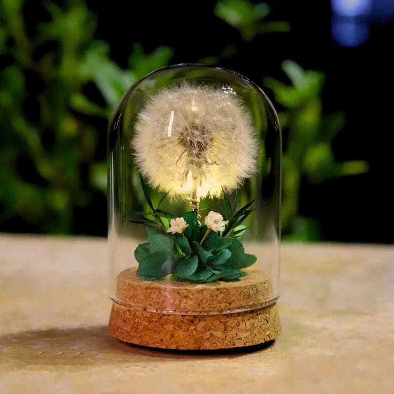 BowLift | EternaBloom Night Light