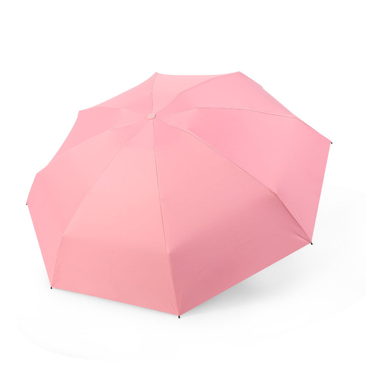 Women's compact and wind-resistant folding umbrella with practical carrying case Bowlift