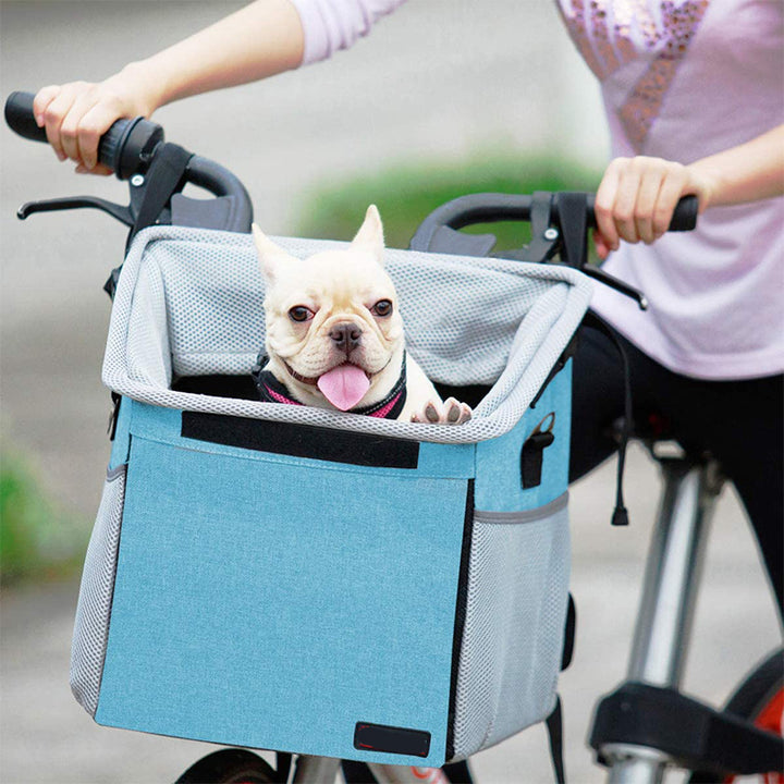 front bicycle pet carrier basket with padded base and safety tether Bowlift