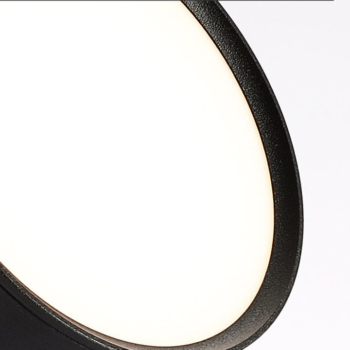 BowLift | LED Ceiling Light with Adjustable Spotlight Head