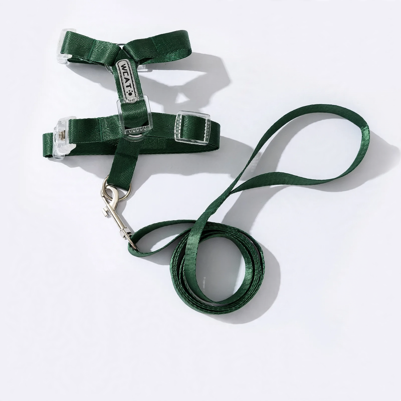 Luminous cat and dog harness leash