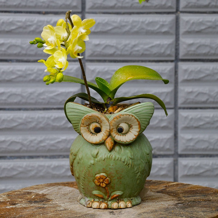 Modern Decorative Flower Pot with Owl Design Bowlift