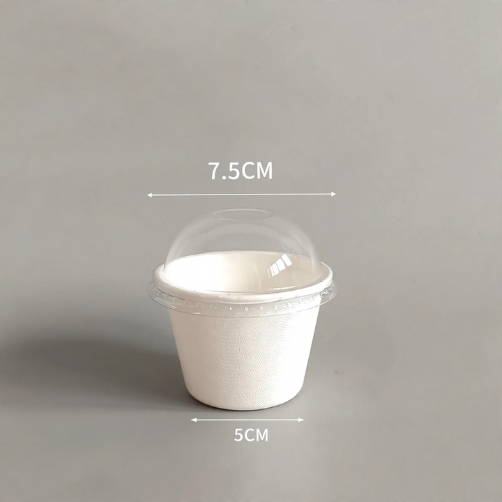 Disposable paper container, biodegradable