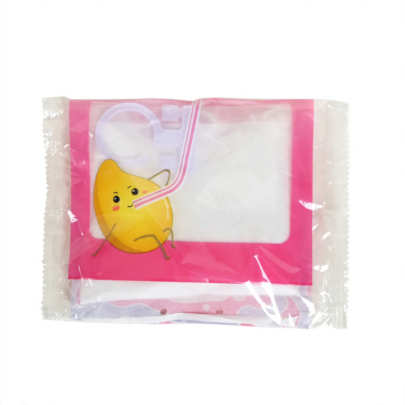 Hanging Dehumidifier Bag