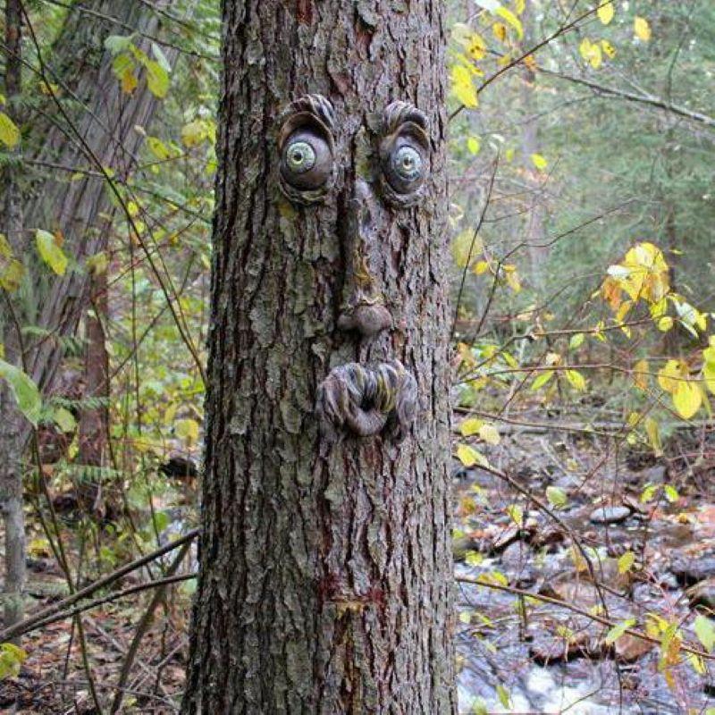 BowLift | Outdoor Tree Face Decoration