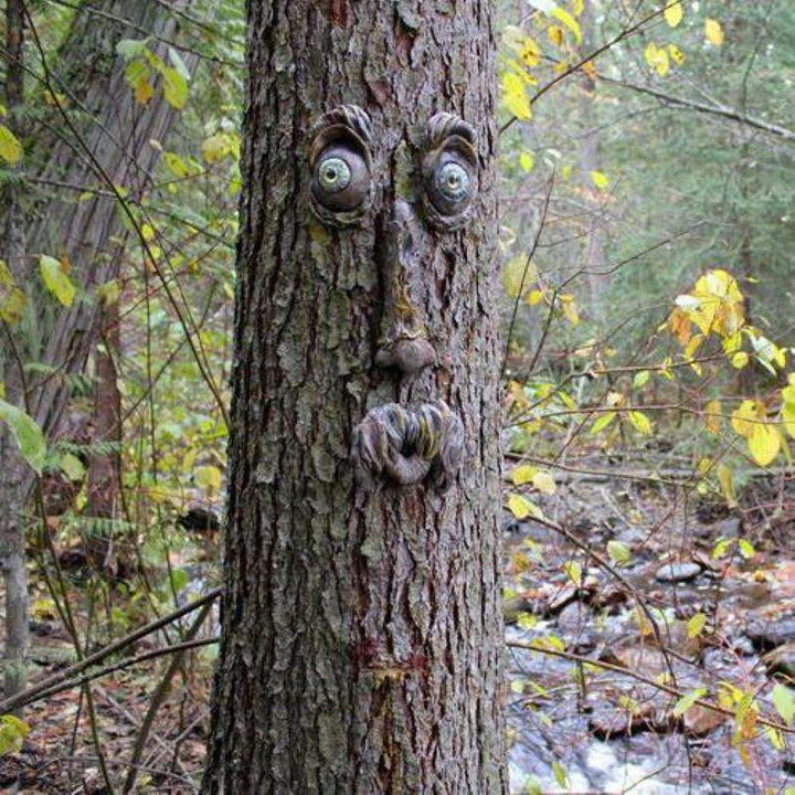 BowLift | Outdoor Tree Face Decoration