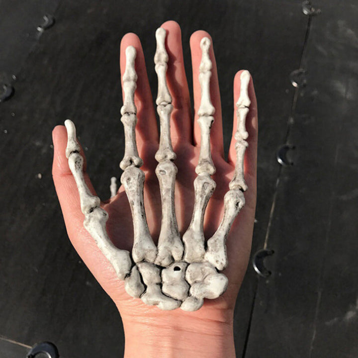 BowLift | Skeleton Hands Scary Props