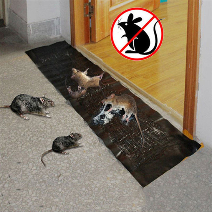 Sense Mouse Trap | Bowlift