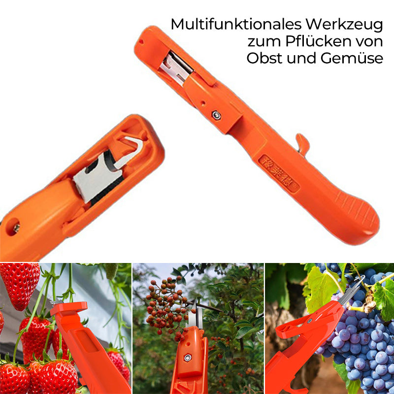 Efficient Pepper Picking Tools | Bowlift
