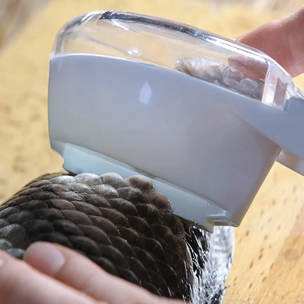 BowLift | Fish scale remover with catch lid