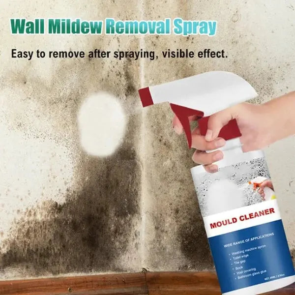 BowLift | High-Performance Anti-Mold Foam Spray – Deep Cleaning & PRedection