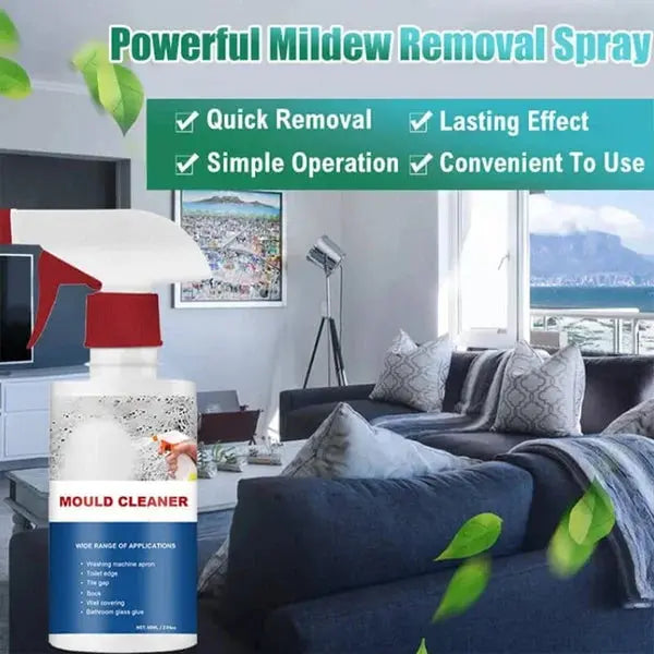 BowLift | High-Performance Anti-Mold Foam Spray – Deep Cleaning & PRedection