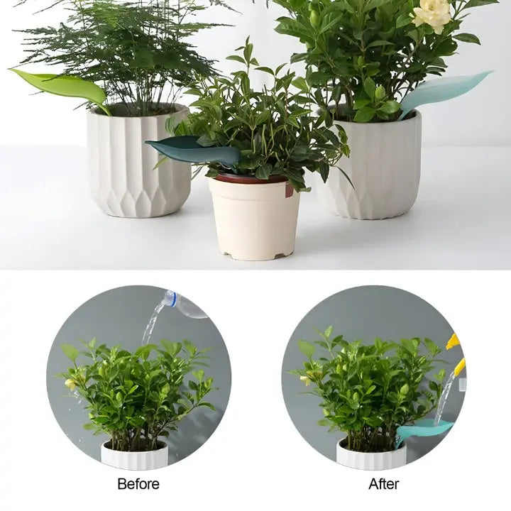 BowLift | SprayLeaf Sustainable Plant Care