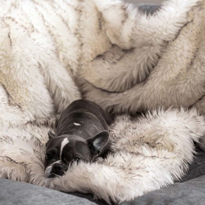 BowLift | FURGUARD - Waterproof Pet Blanket