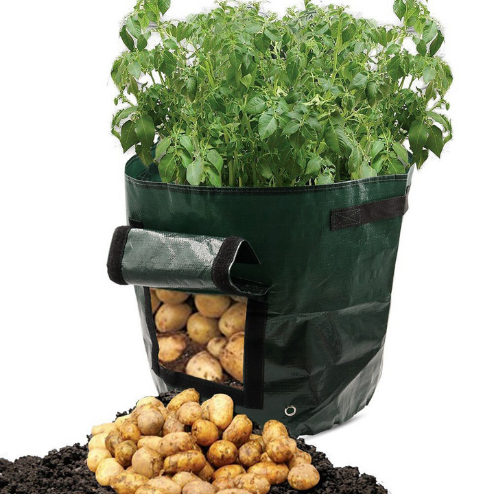 BowLift | Planting bag for potatoes – Reusable and with viewing window