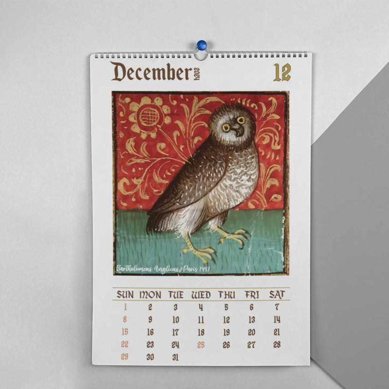 BowLift | Medieval Owl Calendar