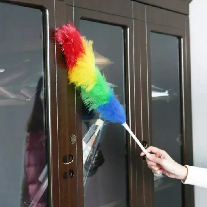 Soft Cleaning Duster With Plastic Handle Bowlift