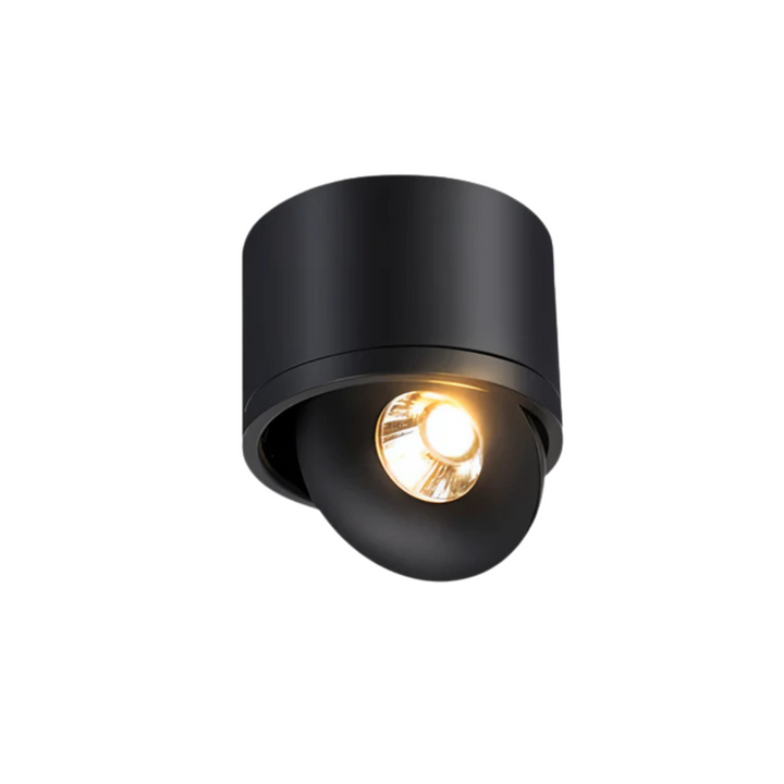 BowLift | Minimalist LED Ceiling Lamp |  360° Rotatable Design