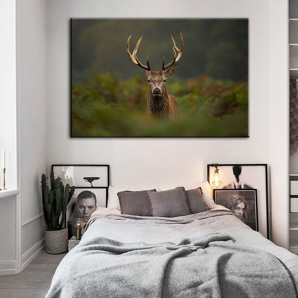 Curios Deer Amongst Ferns - Canvas Wall Art Painting | Bowlift