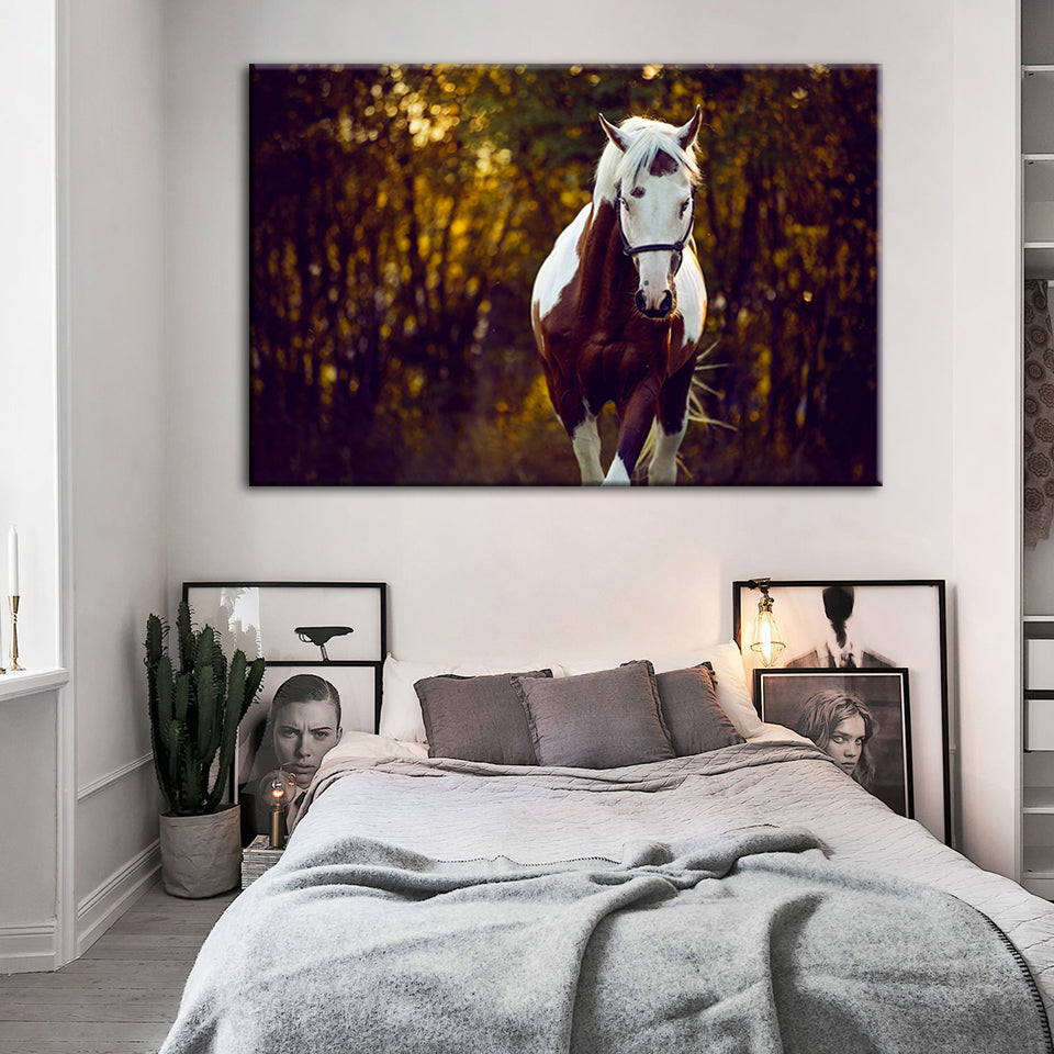 Courtly Overo Horse - Canvas Wall Art Painting | Bowlift