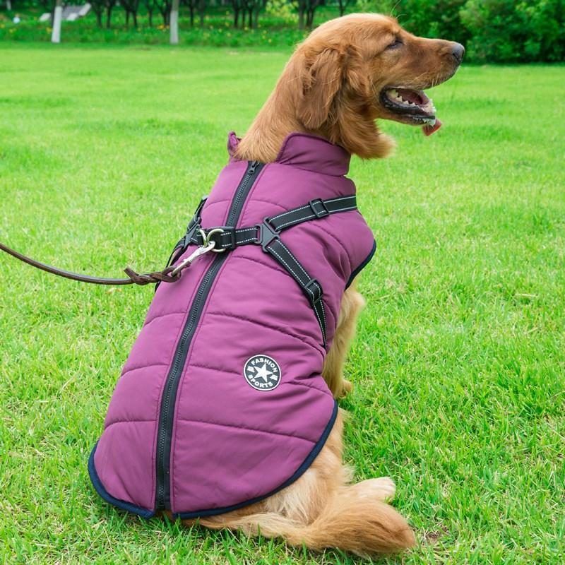 BowLift | Winter Zipper Coat for Dogs