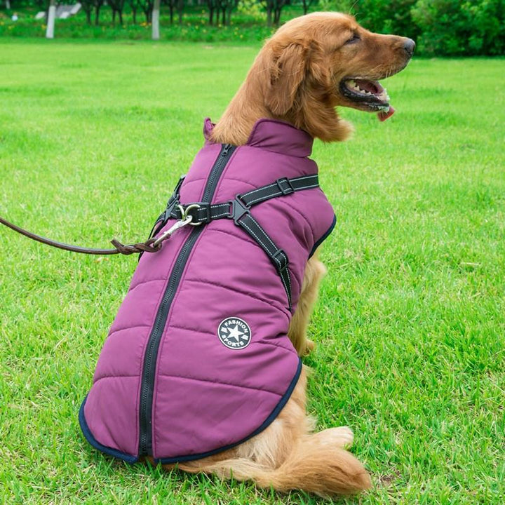 BowLift | Winter Zipper Coat for Dogs