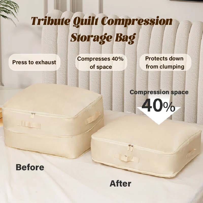 BowLift | Extremely space-saving, self-compression Organizer
