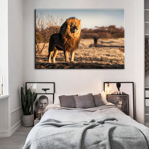Majestic Lion Bathed In Sunlight - Canvas Wall Art Painting | Bowlift