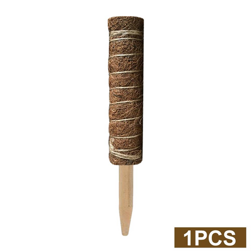 BowLift | Coconut moss stick for climbing plants – Natural climbing aid for houseplants and garden
