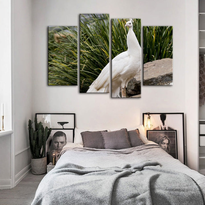 4 Piece Regal Albino Peacock - Canvas Wall Art Painting | Bowlift